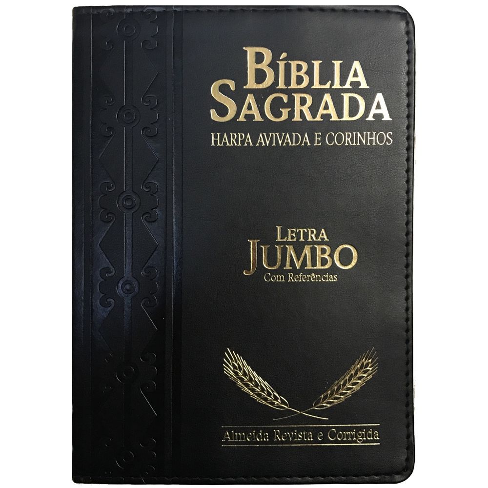 Bíblia Sagrada Almeida Revista e Corrigida em áudio by Sociedade Bíblica do  Brasil - Audiobook 