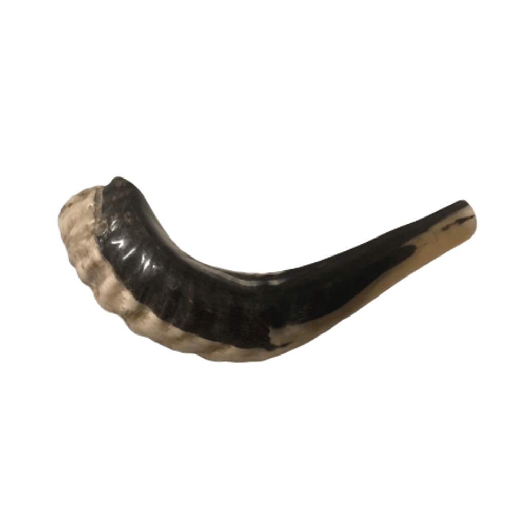 Shofar de Israel Livraria 100 Cristão cemporcentocristao