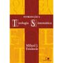 Introducao-a-Teologia-SistematicaMillard-J.-Erickson---Capa-Dura