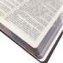 Biblia-ACF-Letra-Grande-Capa-Especial-Jardim