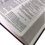 Biblia-365-NVT