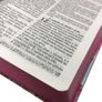 Biblia-RC-Letra-Gigante