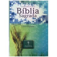 Biblia-NTLH-Letra-Gigante-Brochura-Trigo