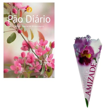 Kit-Pao-Diario-para-Mulheres-e-Cartao-Amizade-Flor