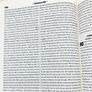 Biblia-Bilingue-NVT---Luxo-Avela---Geografica