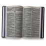 Biblia-RC---Lion-Colors---Capa-Dura---Sankto